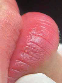 159308075115491175841