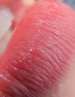 159308075115491175842