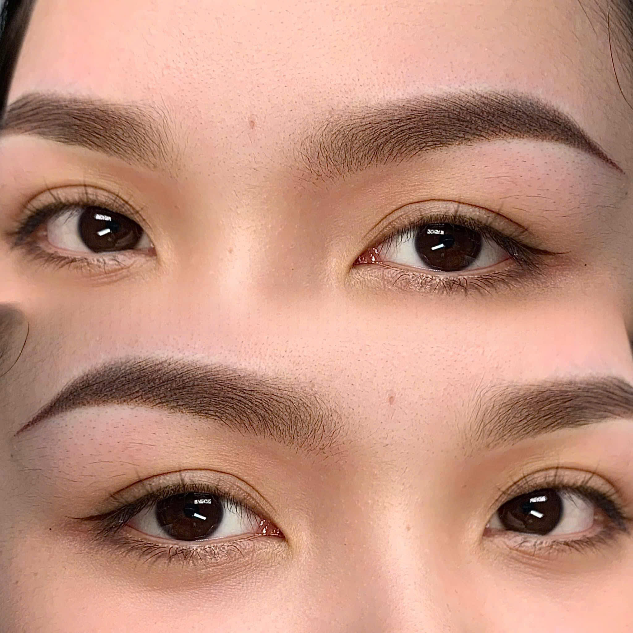 13070686096065189208